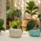 Concrete Plant Pot IMG1