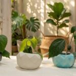 Concrete Plant Pot IMG1